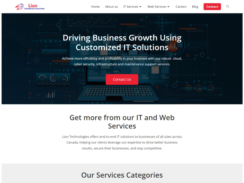 Lion Technology Solutions website